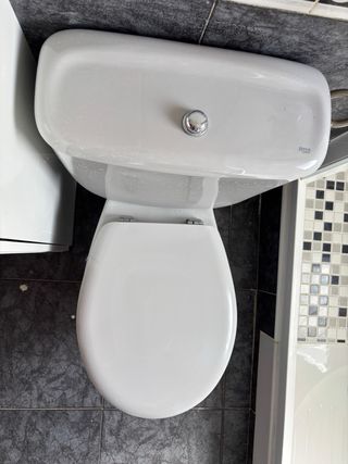 Inodoro y Bidé Roca Gris