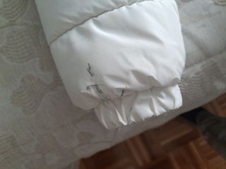 Plumas blanco