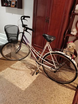 Bicicleta holandesa Union, con Cesta.
