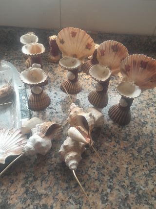 Conchas de playa decorativas