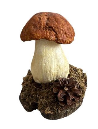 Figuras Setas Hongos Boletus Decoración ÚLTIMO DÍA
