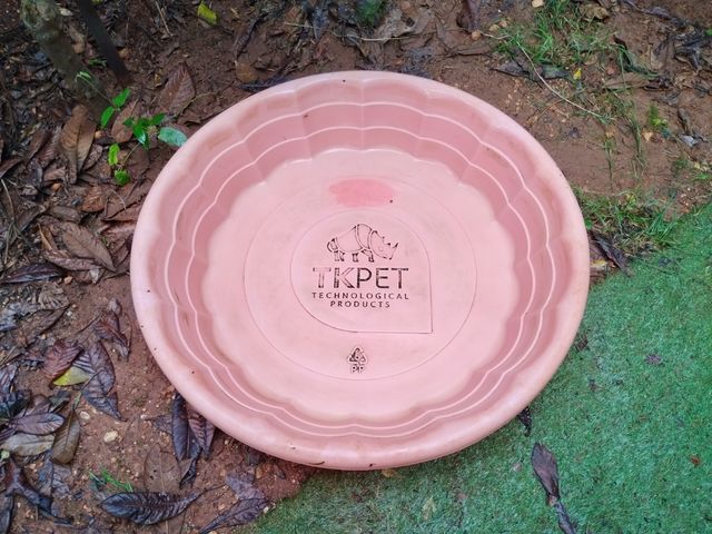 Piscina para perros TKPET rosa