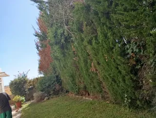 SERVICIO Y MANTENIMIENTO DE JARDINERIA