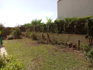 SERVICIO Y MANTENIMIENTO DE JARDINERIA