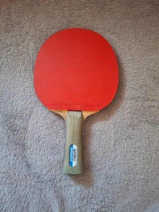 Pala Ping Pong Butterfly Offensive