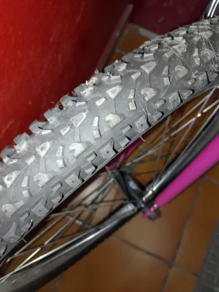 Bicicleta 24 Pulgadas