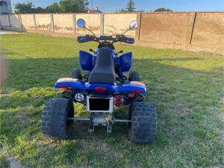 Quad Gas Gas Wild HP 450