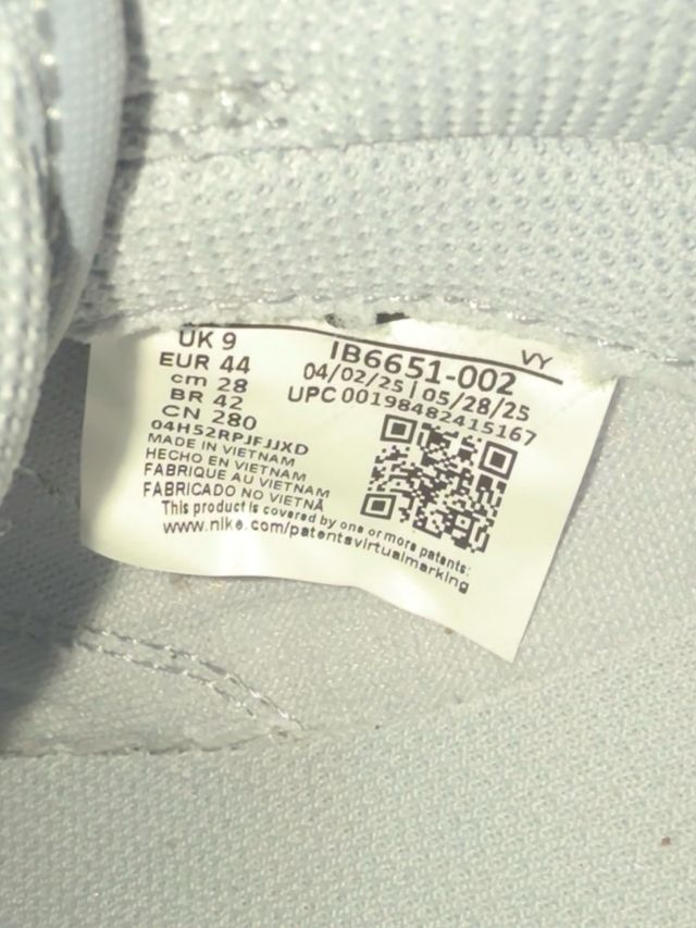 Nike Dunk Low SE Gris