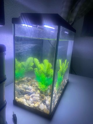 Vendo acuario 11L con luz LED