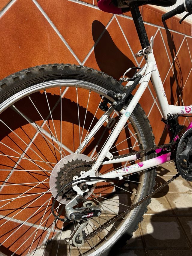 Bicicletta ragazza/ragazza