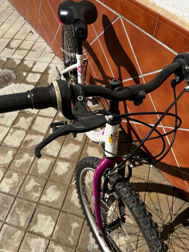 Bicicletta ragazza/ragazza