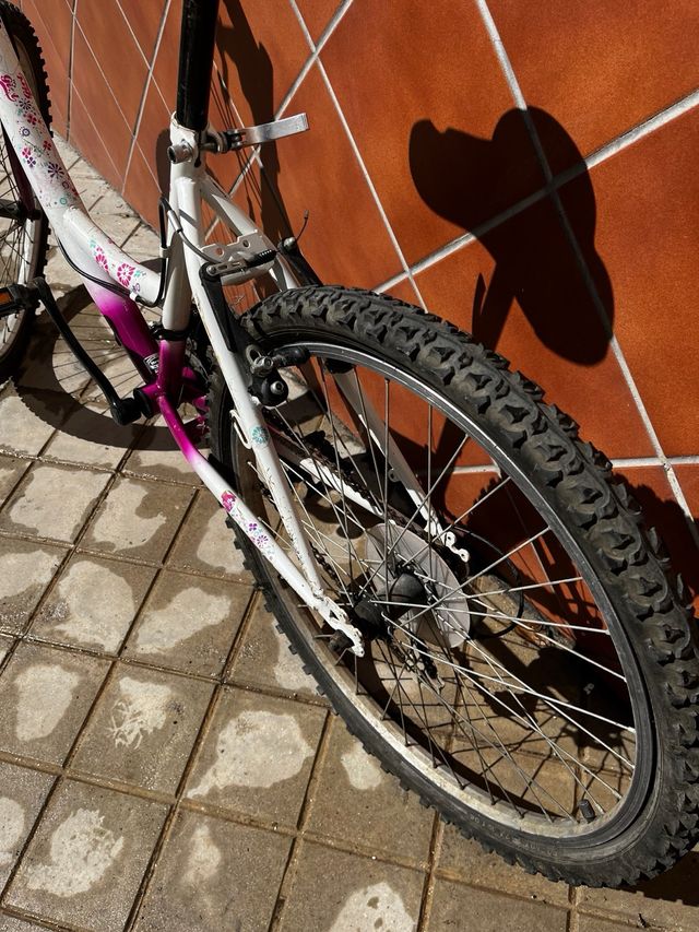 Bicicletta ragazza/ragazza