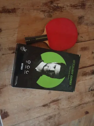 Pala Ping Pong Butterfly Ovtcharov Expert