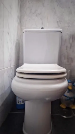 Sanitario y Lavabo Roca Dama