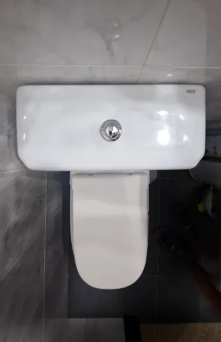 Sanitario y Lavabo Roca Dama