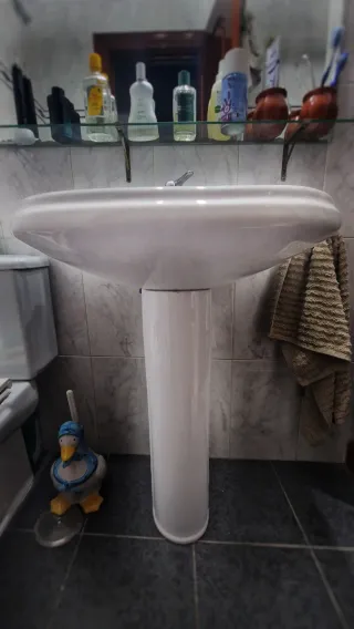 Sanitario y Lavabo Roca Dama
