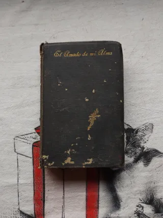 El Amado de mi alma. Libro 1920