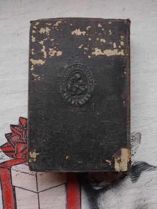 El Amado de mi alma. Libro 1920