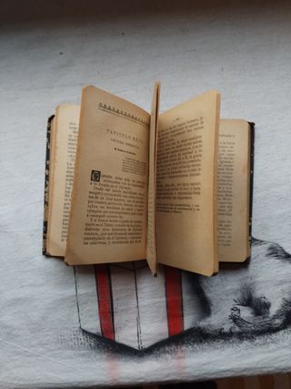 El Amado de mi alma. Libro 1920