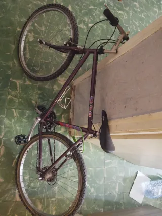 Bicicleta morada