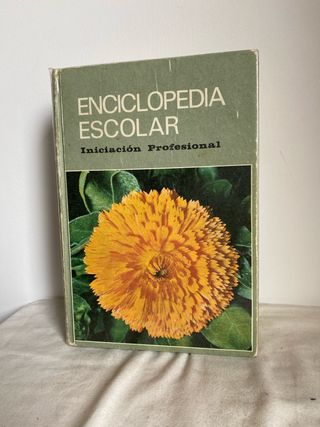 Enciclopedia Escolar Iniciación Profesional