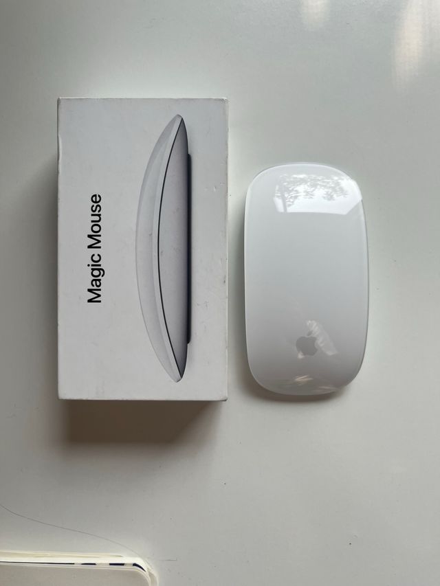 Apple Magic Mouse USB-C Bianco e Argento