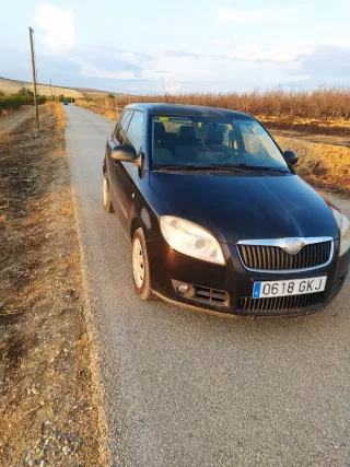 Skoda Fabia 2010