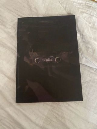 Stray Kids Albumes 