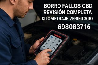 Borrado de fallos, Lectura de kilometraje