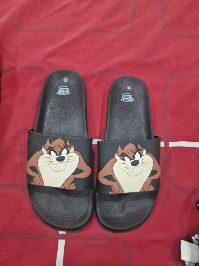 Chanclas Looney Tunes Talla 38 Taz