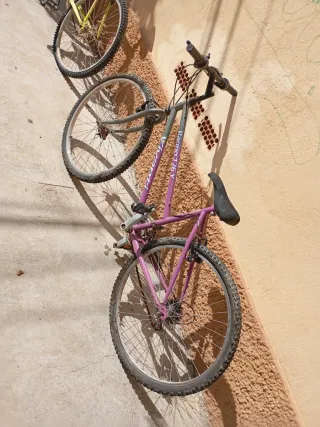 Bicicleta Morada Racing 176Y