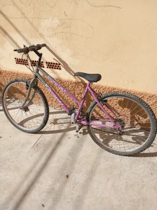 Bicicleta Morada Racing 176Y