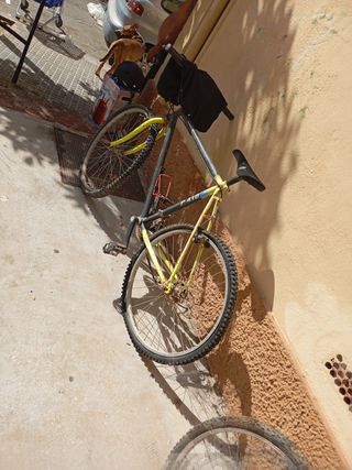 Bicicleta Morada Racing 176Y
