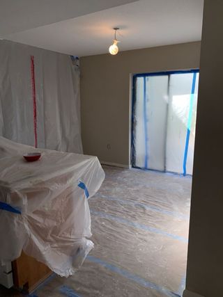 Servicios de alisado, pintura y reformas