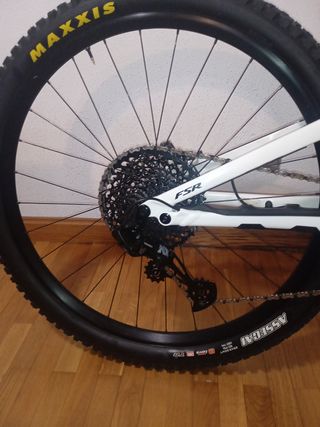 Specialized Stumpjumper 29 Fox