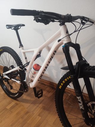 Specialized Stumpjumper 29 Fox