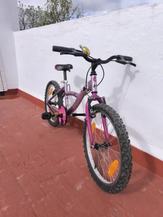 Bicicleta niña 20"