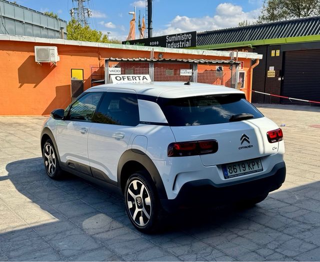 CITROEN C4 Cactus 1.2 PureTech Feel 130 cv