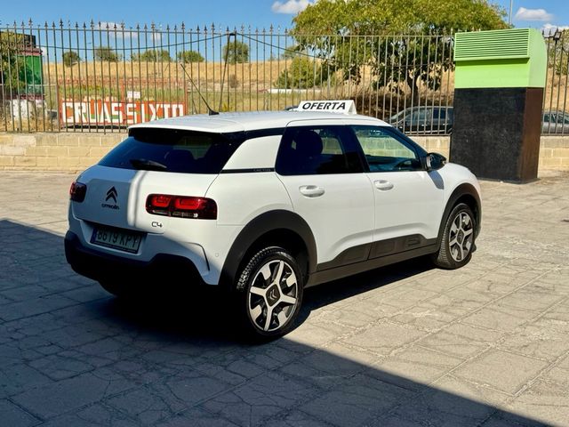 CITROEN C4 Cactus 1.2 PureTech Feel 130 cv