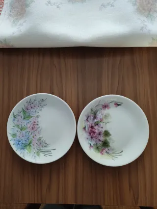 Coppia piatti porcellana fiori dipinti a mano 