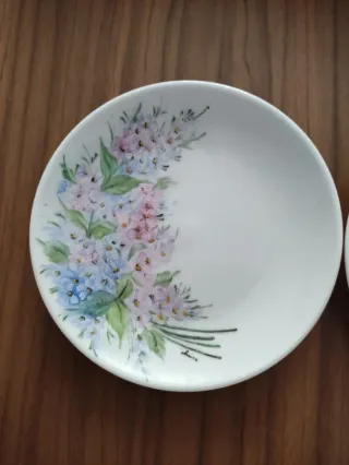 Coppia piatti porcellana fiori dipinti a mano 