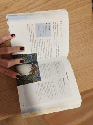 La biblia de la meditación: Guía esencial para ...