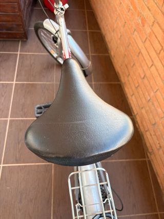 Bicicleta Plegable Urbana color plateado