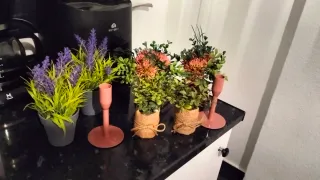 Plantas artificiales decorativas