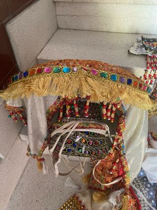 Disfraz Traje de Carnaval Completo Multicolor