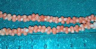 Collana Vintage Corallo Misú