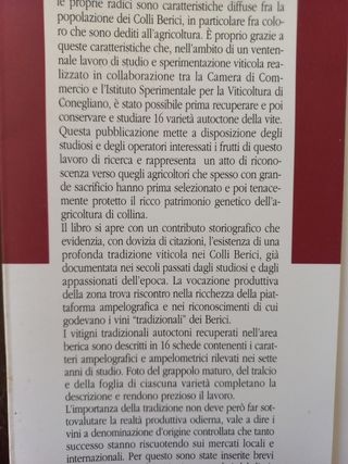 I vitigni dei Berici