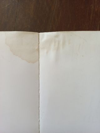 I vitigni dei Berici