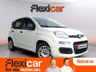 Fiat Panda City Life Hybrid 1.0 Gse 51kw (70CV)