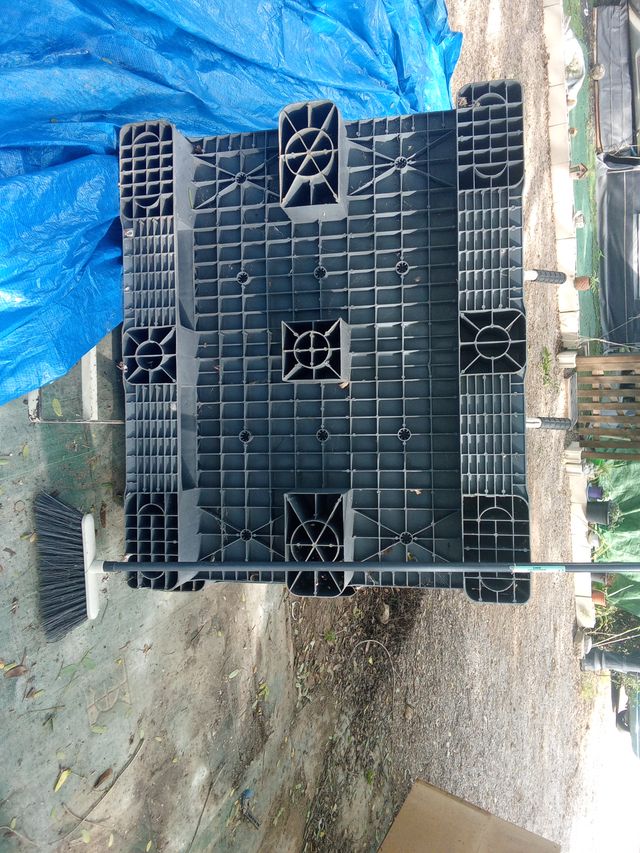 12 Palets de plástico resistentes lisos